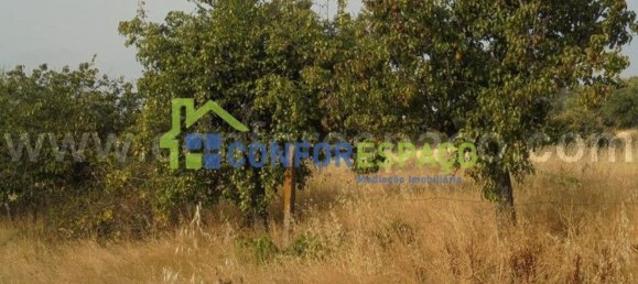 1 bedroom House in Castelo Branco, Portugal No. 29321 17