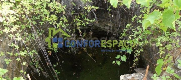 1 bedroom House in Castelo Branco, Portugal No. 29321 15