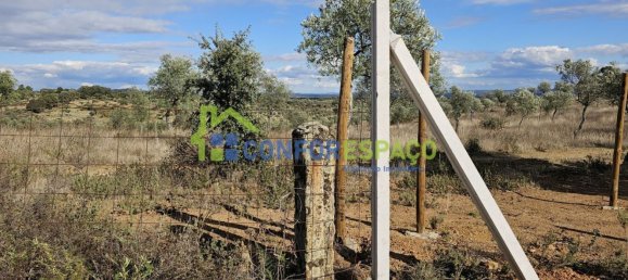 1 bedroom House in Castelo Branco, Portugal No. 29321 27