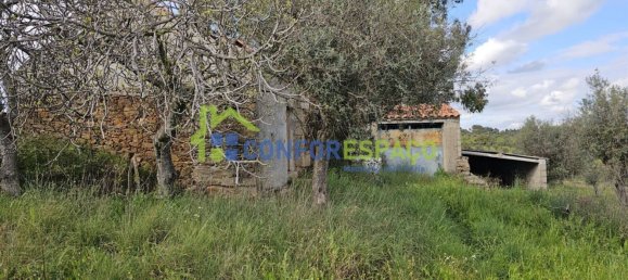 1 bedroom House in Castelo Branco, Portugal No. 29321 2