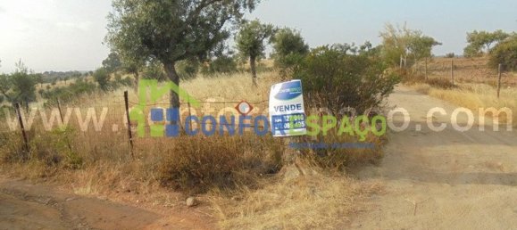 1 bedroom House in Castelo Branco, Portugal No. 29321 8