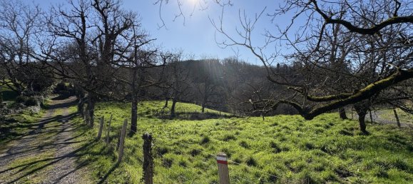 3 bedrooms House in Estivaux, France No. 95873 18