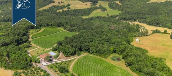 5 bedrooms Villa in Riparbella, Italy No. 337258 7