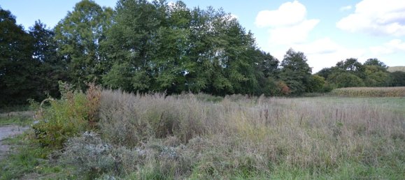  Land in Northeim, Germany No. 126512 5