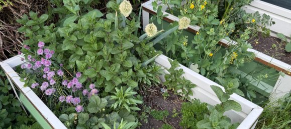 Дом с 2 спальнями в Гюттенбах, Австрия № 129475 19