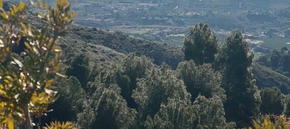 terreno en venta en Torrent, València, Comunidad Valenciana, Spain № 369938 4