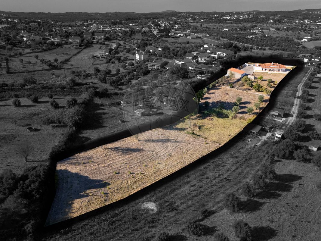 3 bedrooms House in Tomar, Portugal No. 20153