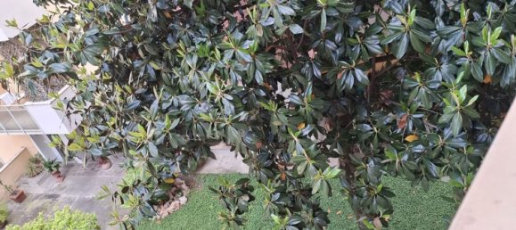 3-salle Appartement à Florence, Italy No. 306847 14