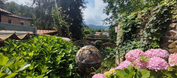 585m² Commercial property in Cantabria, Spain No. 160563 27