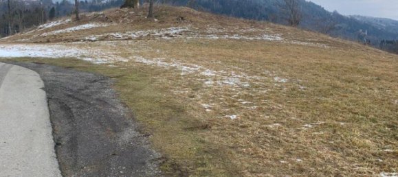  Land in Feldkirchen in Karnten, Austria No. 126919 4