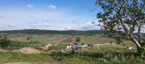  Land in Jois, Austria No. 79863 3