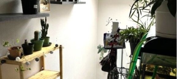 Apartamento de 2 dormitorios en Thiaucourt-Regnieville, France No. 81514 4