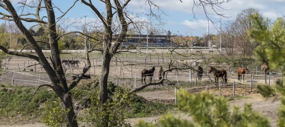 4 rooms Apartment in Karlshorst, Germany No. 24744 25