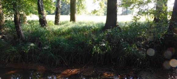 Casa de 3 dormitorios en Oberspreewald-Lausitz, Germany No. 62393 16