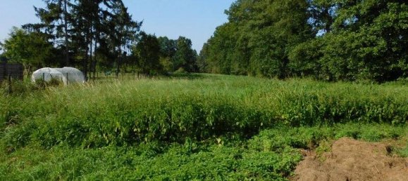 Casa de 3 dormitorios en Oberspreewald-Lausitz, Germany No. 62393 14