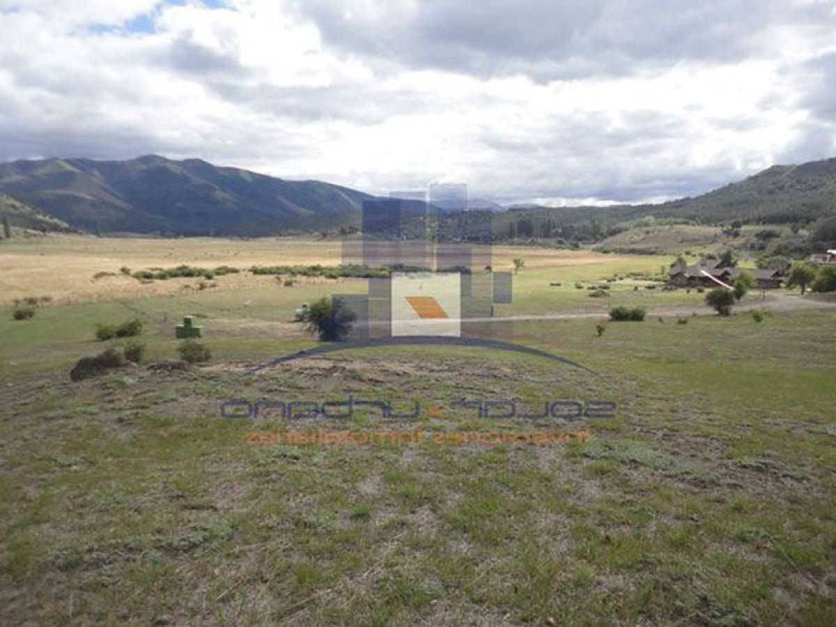 Terrain à Neuquen, Argentina No. 47541