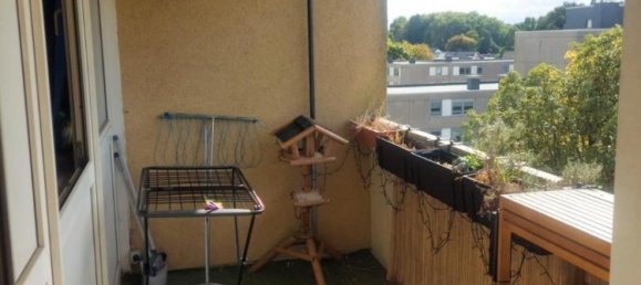 1 chambre Appartement à Herne, Germany No. 293633 6