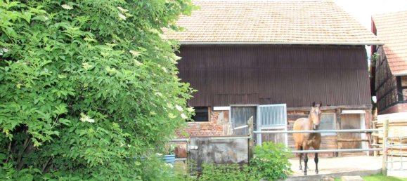 6 rooms Farm in Vogelsbergkreis, Germany No. 228515 30