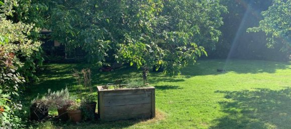 Terrain à Linz, Austria No. 162973 3