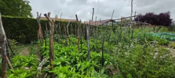 5 Schlafzimmer Haus in Alava, Spain, Nr. 184161 46