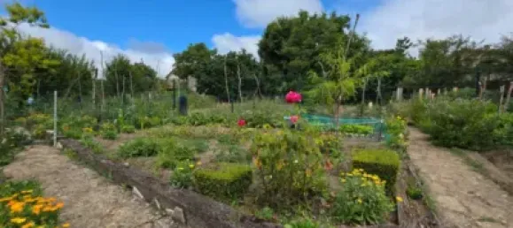 5 Schlafzimmer Haus in Alava, Spain, Nr. 184161 2