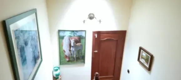 5 Schlafzimmer Haus in Alava, Spain, Nr. 184161 20