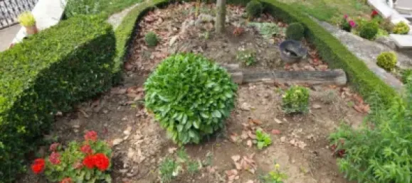 5 Schlafzimmer Haus in Alava, Spain, Nr. 184161 16