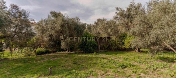 4 غرف نوم منزل في Granada, Spain رقم 171041 43