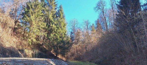 Terrain à St. Kanzian am Klopeiner See, Austria No. 3162 4