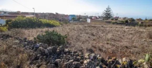 9807m² Land in El Rosario, Spain No. 69358 32