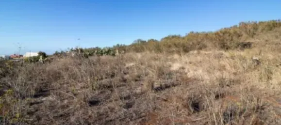 9807m² Land in El Rosario, Spain No. 69358 4