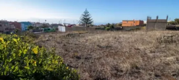 9807m² Land in El Rosario, Spain No. 69358 25