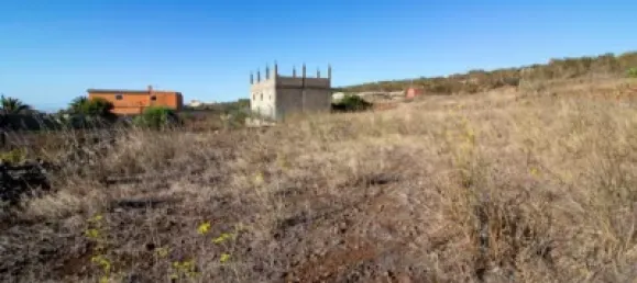 9807m² Land in El Rosario, Spain No. 69358 9