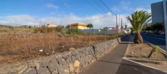 9807m² Land in El Rosario, Spain No. 69358 2