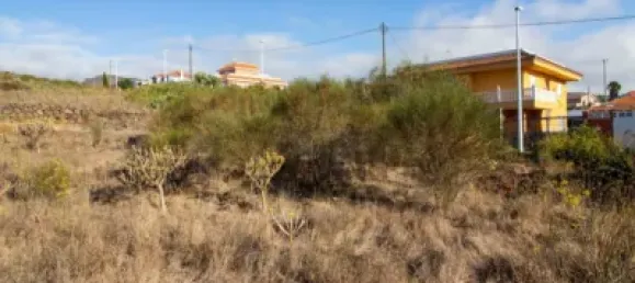 9807m² Land in El Rosario, Spain No. 69358 18