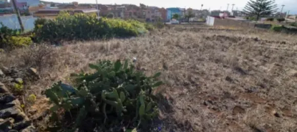 9807m² Land in El Rosario, Spain No. 69358 30