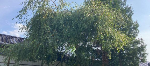 7 rooms House in Leverkusen, Germany No. 357266 7