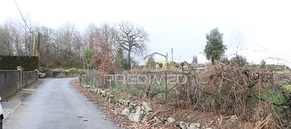 2436m² Land in Coucieiro, Portugal No. 34380 12
