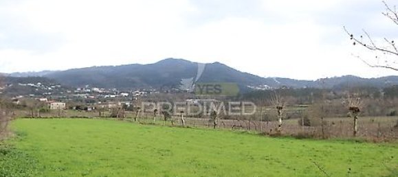 2436m² Land in Coucieiro, Portugal No. 34380 4