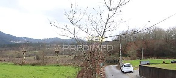 2436m² Land in Coucieiro, Portugal No. 34380 5