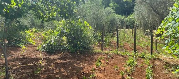 5000m² Land in Maenza, Italy No. 286127 12