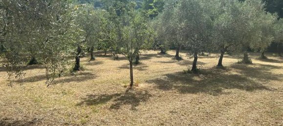 5000m² Land in Maenza, Italy No. 286127 10