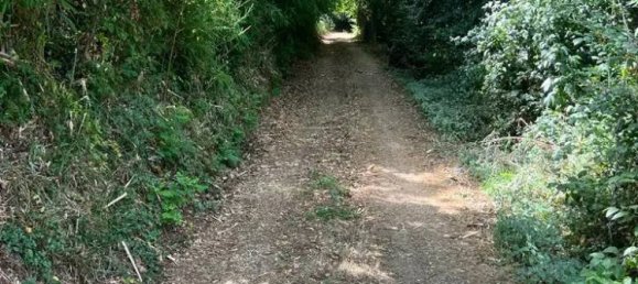 5000m² Land in Maenza, Italy No. 286127 3