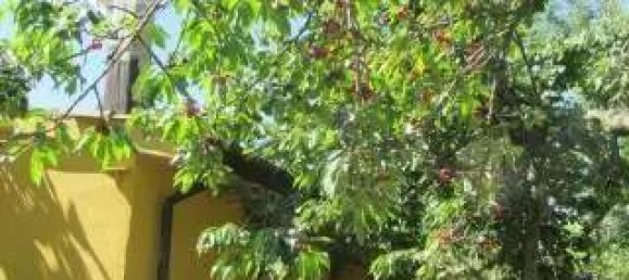 5000m² Land in Maenza, Italy No. 286127 5