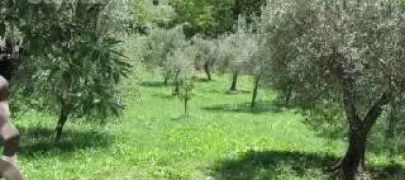 5000m² Land in Maenza, Italy No. 286127 14