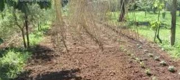 5000m² Land in Maenza, Italy No. 286127 9