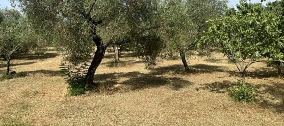 5000m² Land in Maenza, Italy No. 286127 11