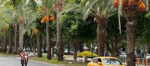 3 غرف نوم شقة في Alicante, Spain رقم 4526 28