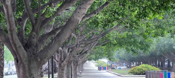 3 غرف نوم شقة في Alicante, Spain رقم 4526 5