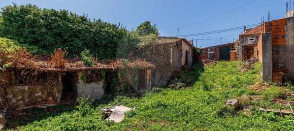 Дом с 1 спальней в Алкобаса, Португалия № 33983 15